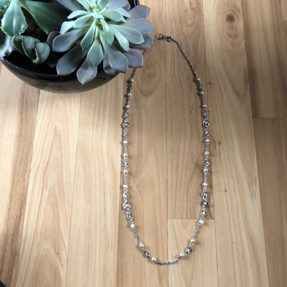 Banana Republic long chain necklace